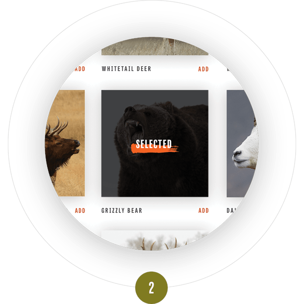 Animal selected